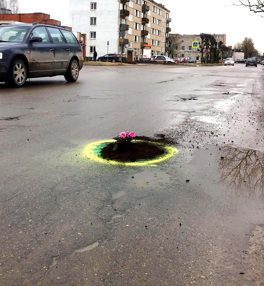 Arī Bauskai sava «bedres puķe»