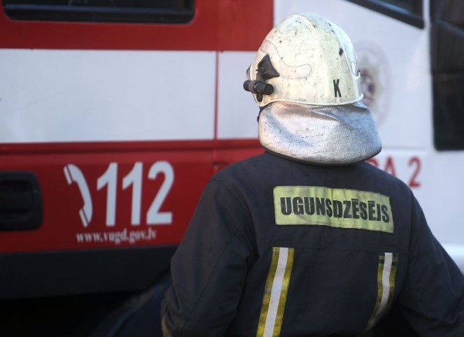 Ugunsdzēsēji Mežotnes pagastā izglābj suni