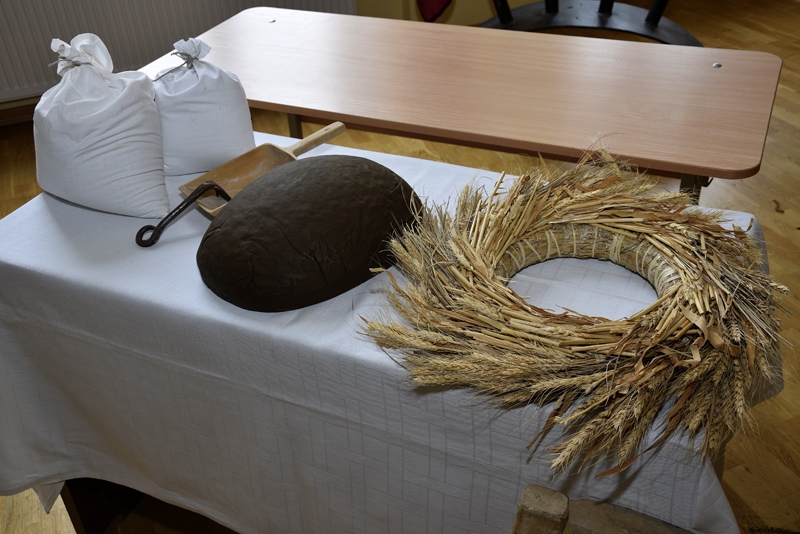 FOTO: Saulainē godina maizes cepējus un Kaucmindes mantojumu