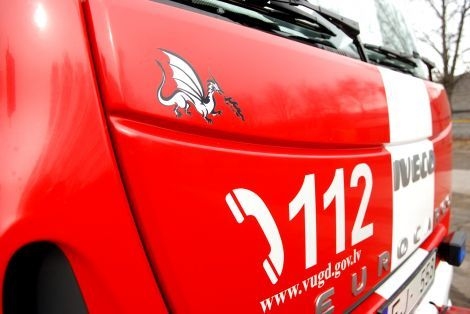 Ugunsdzēsēji izglābj iesprūdušu stirnu