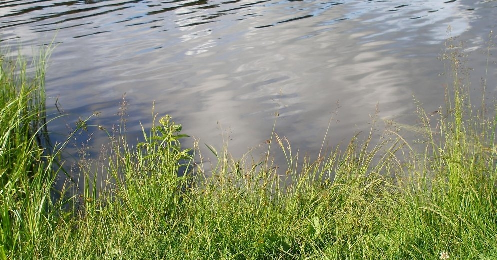 Ūdens temperatūra vairumā upju un ezeru no +14 līdz +18 grādiem