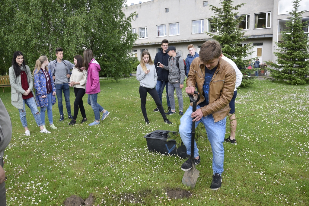 Bauskas pilsētas pamatskolas topošie absolventi iestāda egli