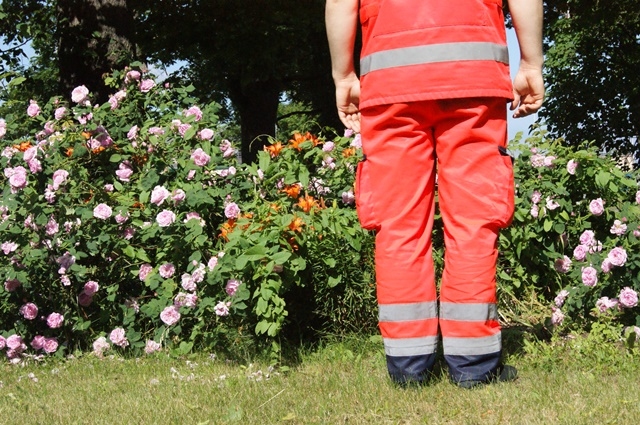Strauji pieaug kukaiņu sadzelto cilvēku skaits