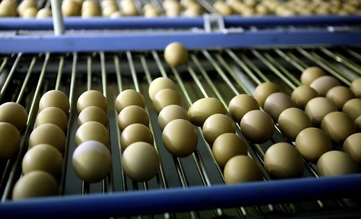 «Balticovo» plāno šogad stiprināt biodrošības pasākumus