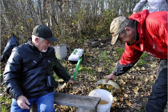 Aicina uz tradicionālo cīņu par Bangu dīķa lielāko līdaku