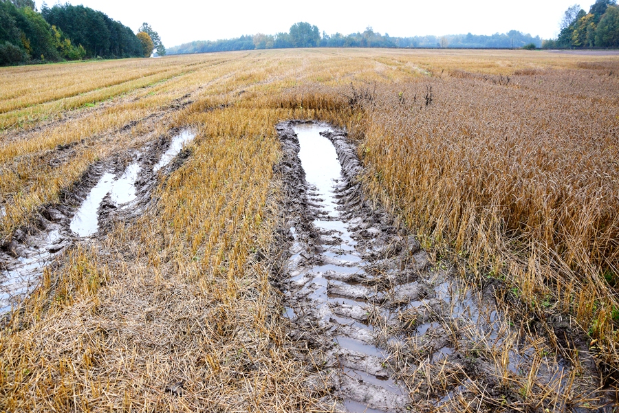 Vecumnieku novadā pieteiks ārkārtas situāciju