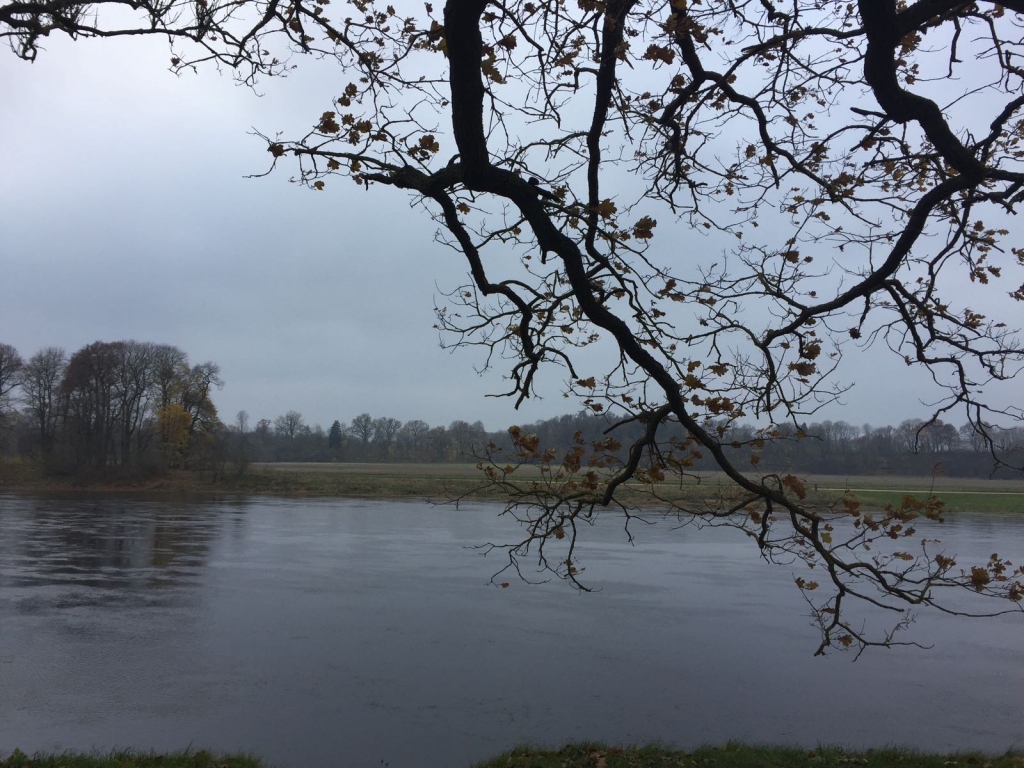 No 23. novembra kļūs siltāks