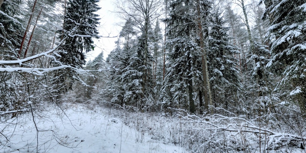 Daļa Iecavas novada turpmāk būs Jelgavas mežziņu pārziņā