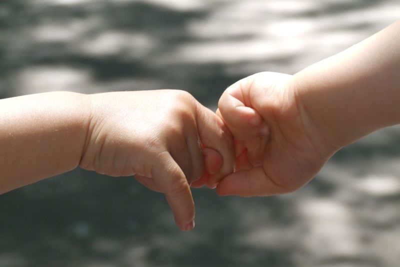Īstenos divus projektus audžuģimenēm, aizbildņiem un adoptētājiem