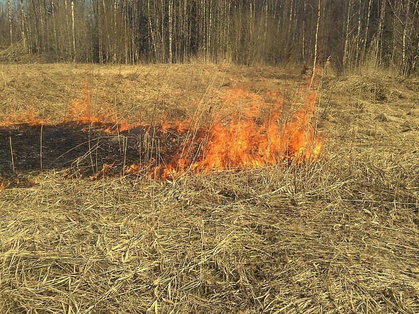Aizvadītajā diennaktī Latvijā dzēsti 44 kūlas ugunsgrēki