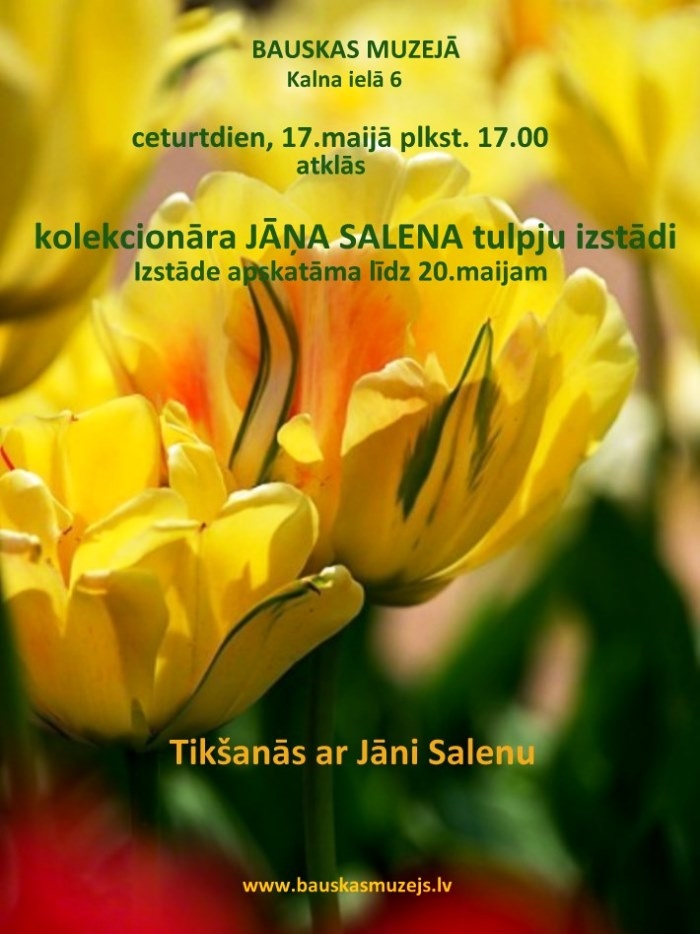 Tulpju izstāde Bauskas muzejā