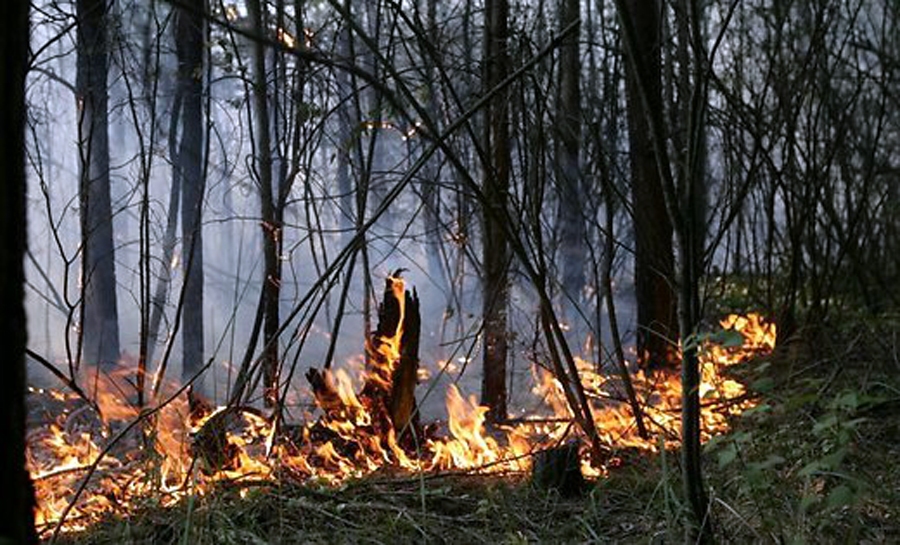 Izsludināta ļoti augsta ugunsbīstamība