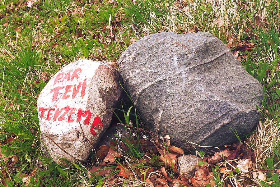 Pelēkā akmens stāsts