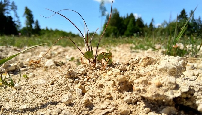 Sausuma dēļ lauksaimniecībā ārkārtas situāciju nenosaka, tā vietā to noteiks kā valsts mēroga katastrofu