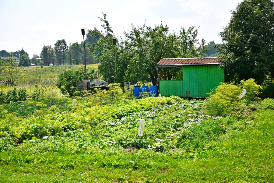Pilsētnieku mazdārziņi – uzturam un atpūtai
