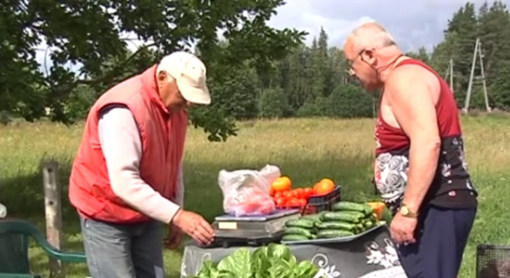 Aptauja: Latvijā 20% iedzīvotāju vasarā meklē iespēju papildus piepelnīties