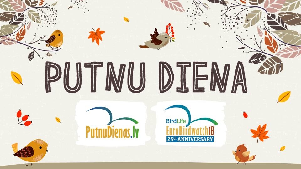 Putnu diena Bārbelē