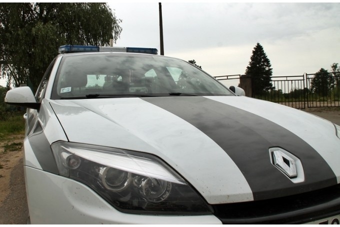 Bārbelē auto saduras ar stirnu