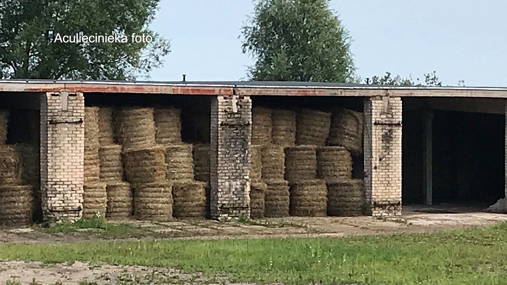 Uguns atņem zirgiem barību; aizdomas par ļaunprātīgu dedzināšanu