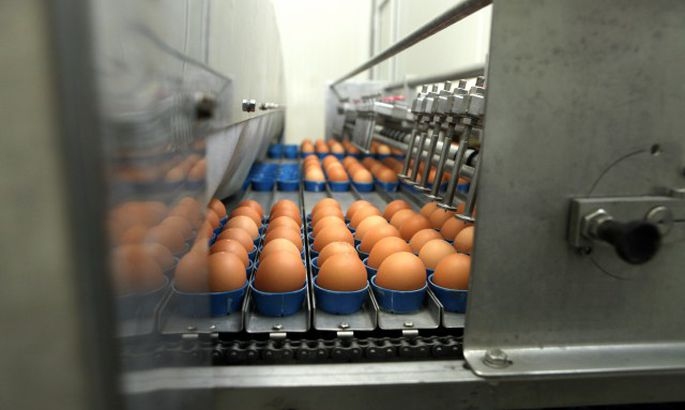 «Balticovo» jaunās iekārtās plāno investēt 700 000 eiro
