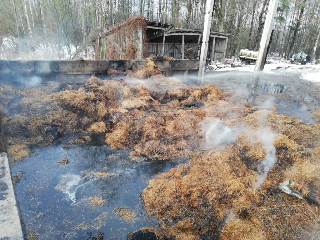 Vecumnieku novadā lielā platībā degusi saimniecības ēka