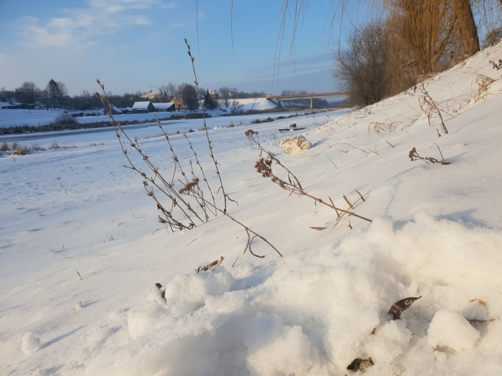 Sals pastiprināsies naktī, nākamnedēļ gaidāms atkusnis