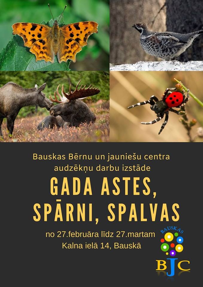 Izstāde Bauskas BJC