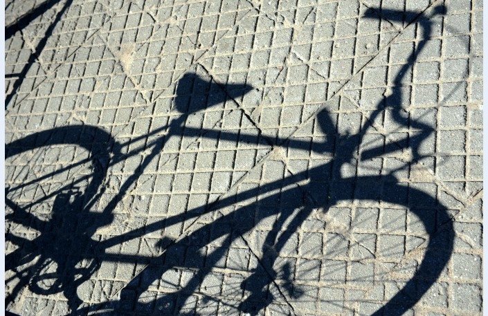 Žvingulī stūrē velosipēdu Rundāles pagastā