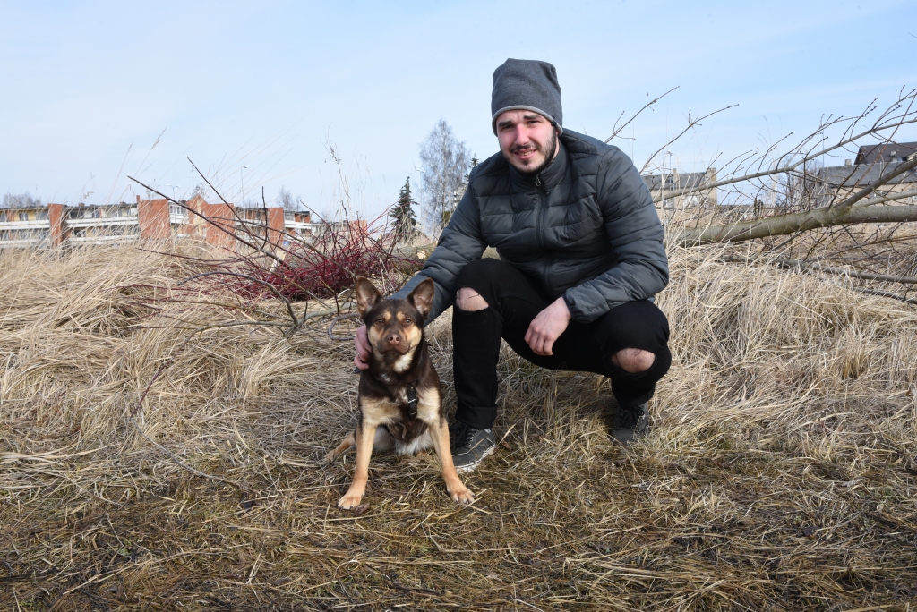Par suņu «nečipošanu» un nereģistrēšanu turpmāk sodīs