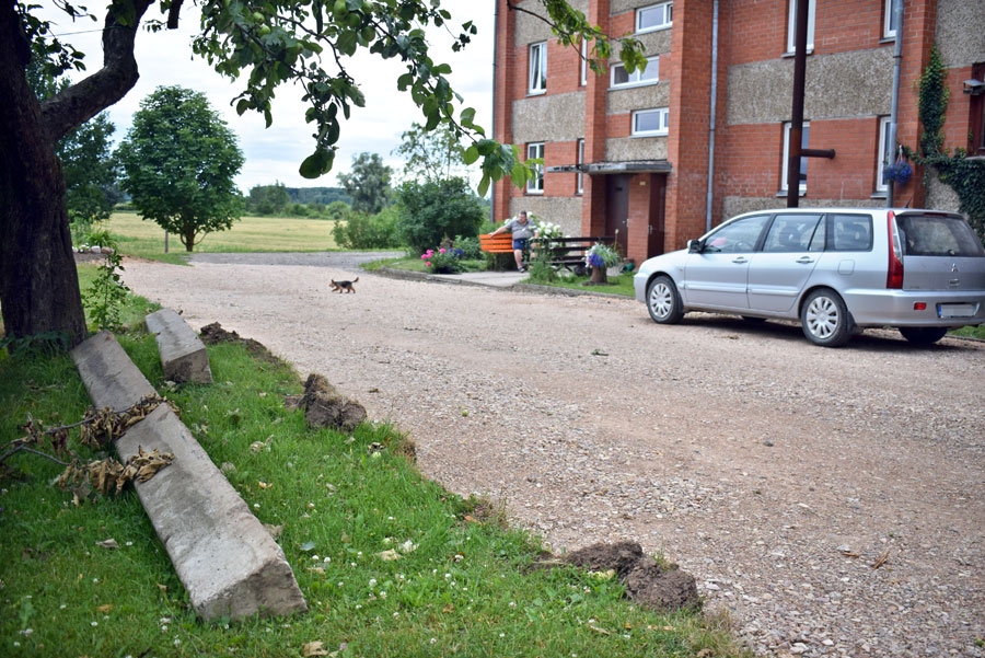 Īsteno idejas vides labiekārtošanā