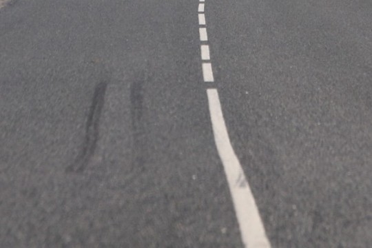 Izvairoties no sadursmes ar dzīvnieku, iebrauc kokā
