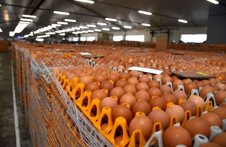 «Balticovo» pērn nopelnīja 5,374 miljonus eiro