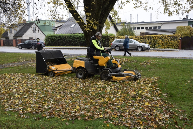 Baušķenieki cīnās ar lapkriti