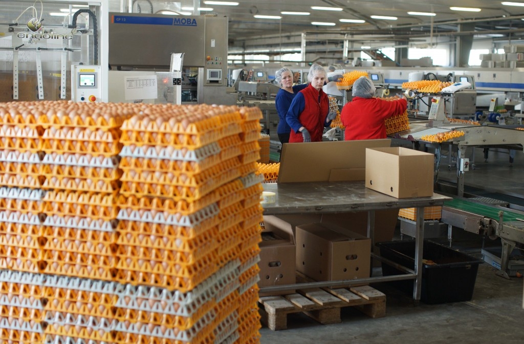 «Balticovo» reģistrējis komercķīlu ar nodrošinātā prasījuma maksimālo summu 7,2 miljoni eiro