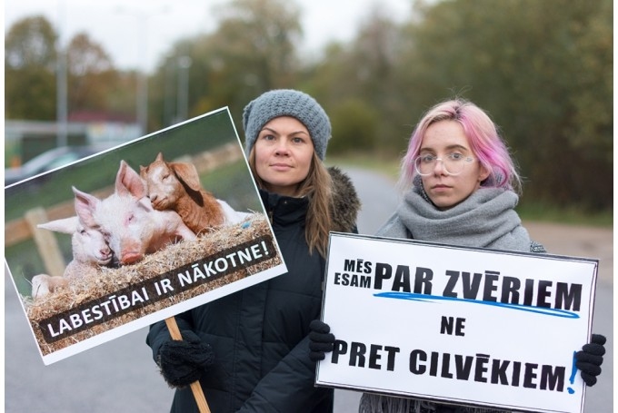 Dzīvnieku aizstāvji Zemgalē organizēs akciju pie lopkautuves