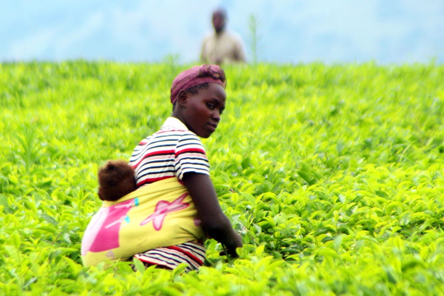 Atklās fotoizstādi «Daudzkrāsainā Uganda»