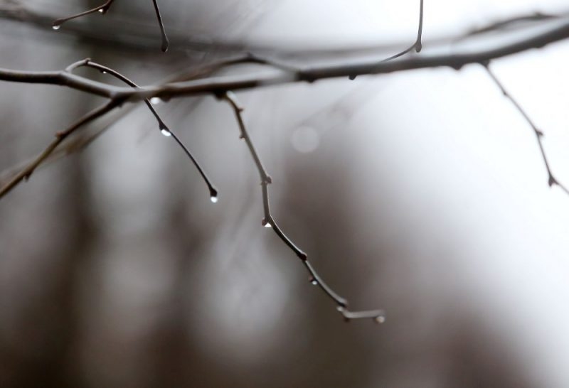 Februāra izskaņā laiks kļūs vēsāks, marta sākumā – siltāks
