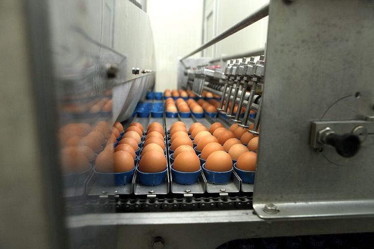 «Balticovo»: Jaunā koronavīrusa ietekmē audzis pieprasījums pēc olām čaumalās