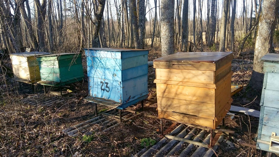 Atbalsts drošajiem un čaklajiem