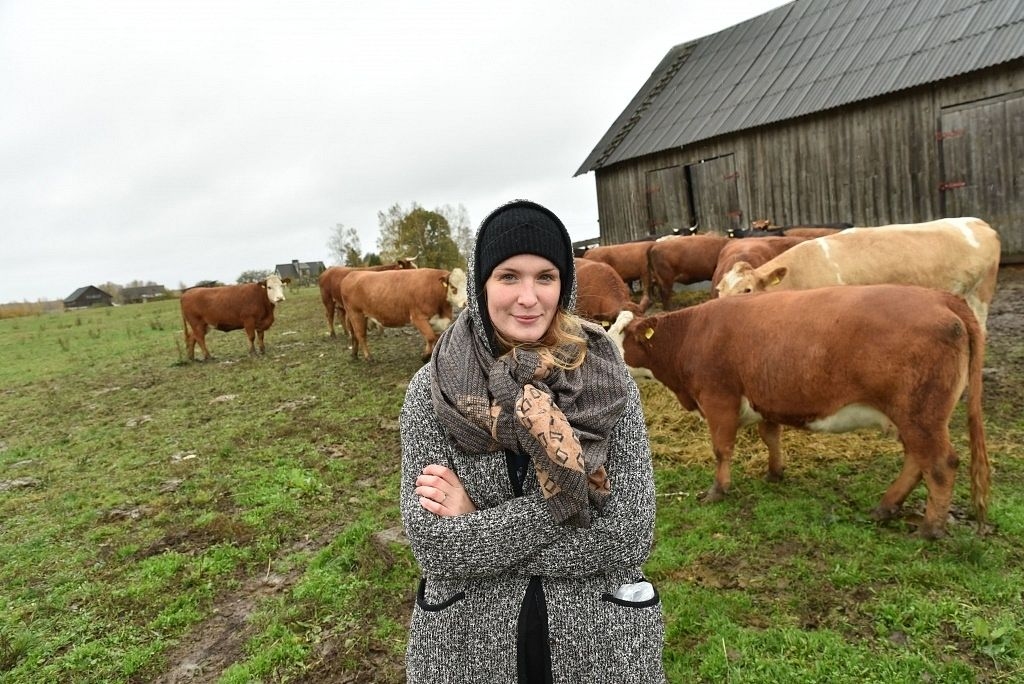 Vecsaules pagasta z/s «Jundas» plāns attīstīt liellopu gaļas piegādi attaisnojas