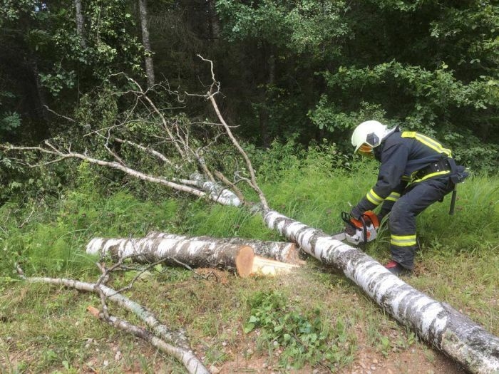 Vecumnieku novadā glābējiem nākas atbrīvot brauktuvi pēc koku nokrišanas
