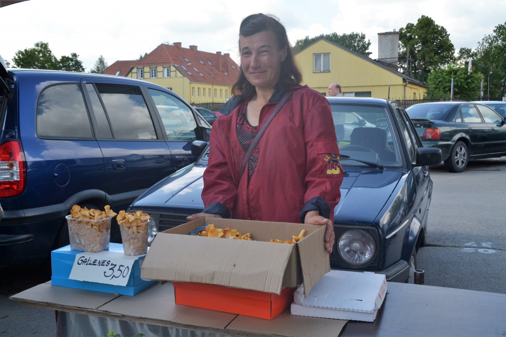Mežos sācies sēņu laiks