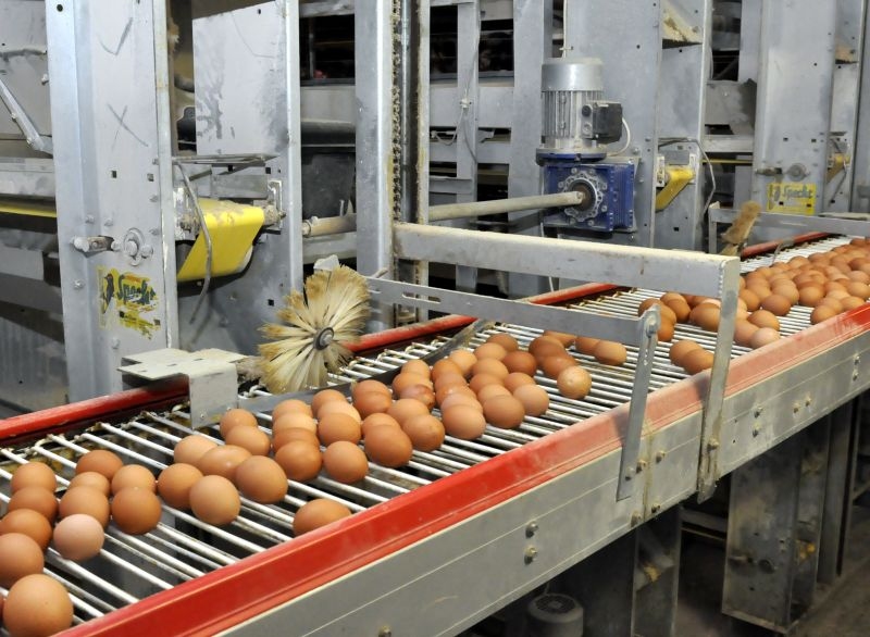 «Balticovo» apgrozījums pērn pieauga par 4,6%