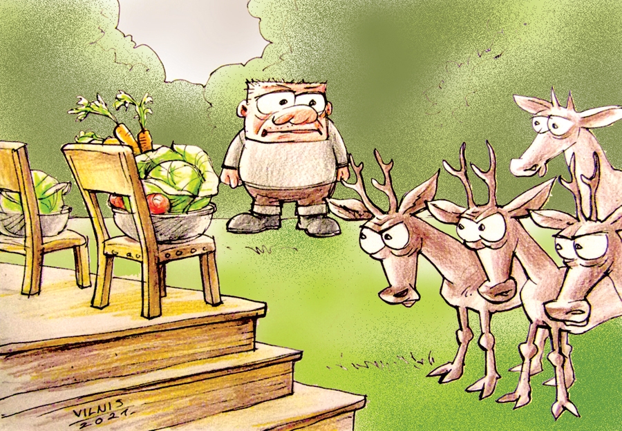 Karikatūra