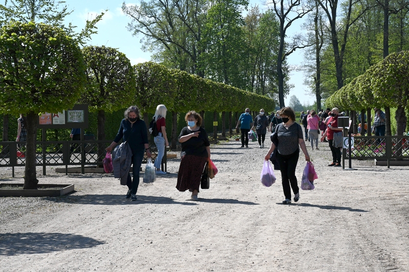 Rundāles pils franču dārzā sarīko pavasara stādu tirgu