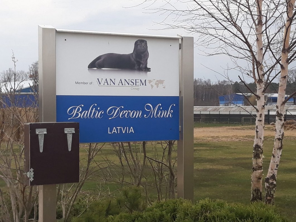 Dzīvnieku aizsardzības un labturības konsultatīvās padome vērtēs situāciju «Baltic Devon Mink»