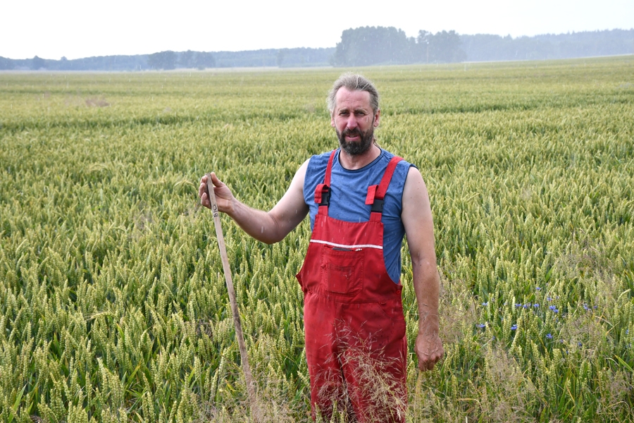 Laukos redz sava darba augļus
