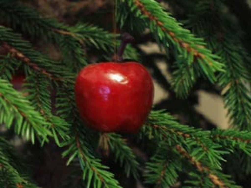 Jauno gadu var sagaidīt saskaņā ar dažādām seno latviešu tradīcijām