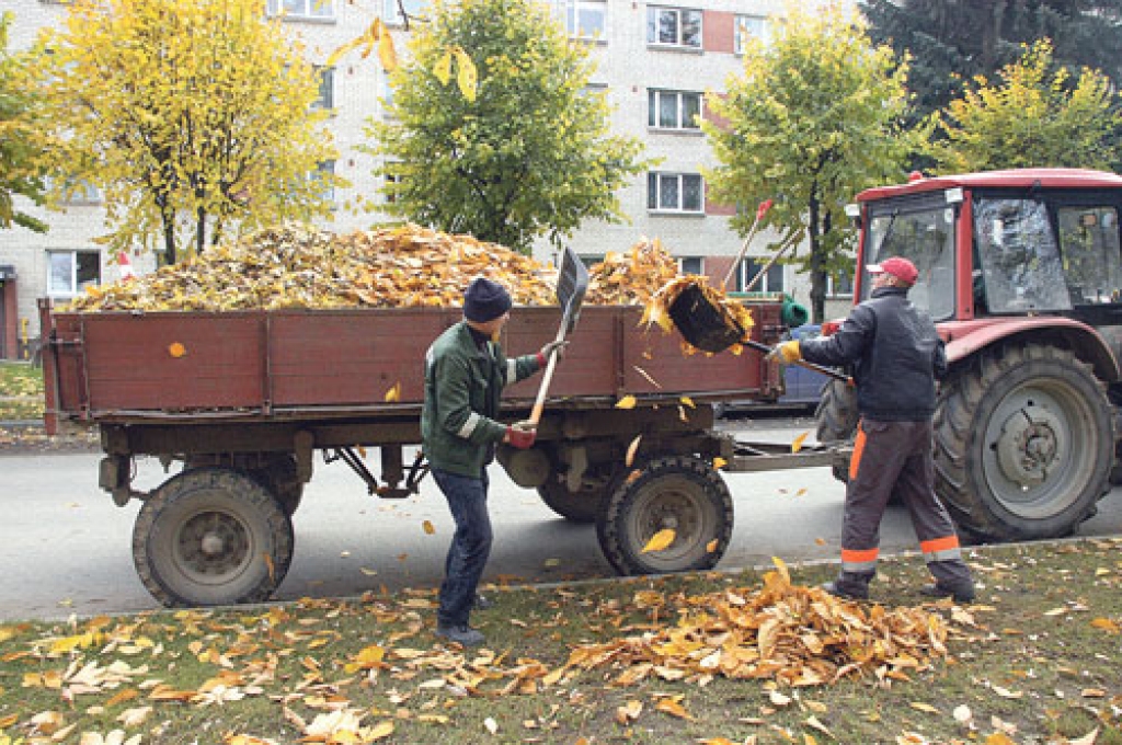 Sētnieki cīnās ar rudens lapām