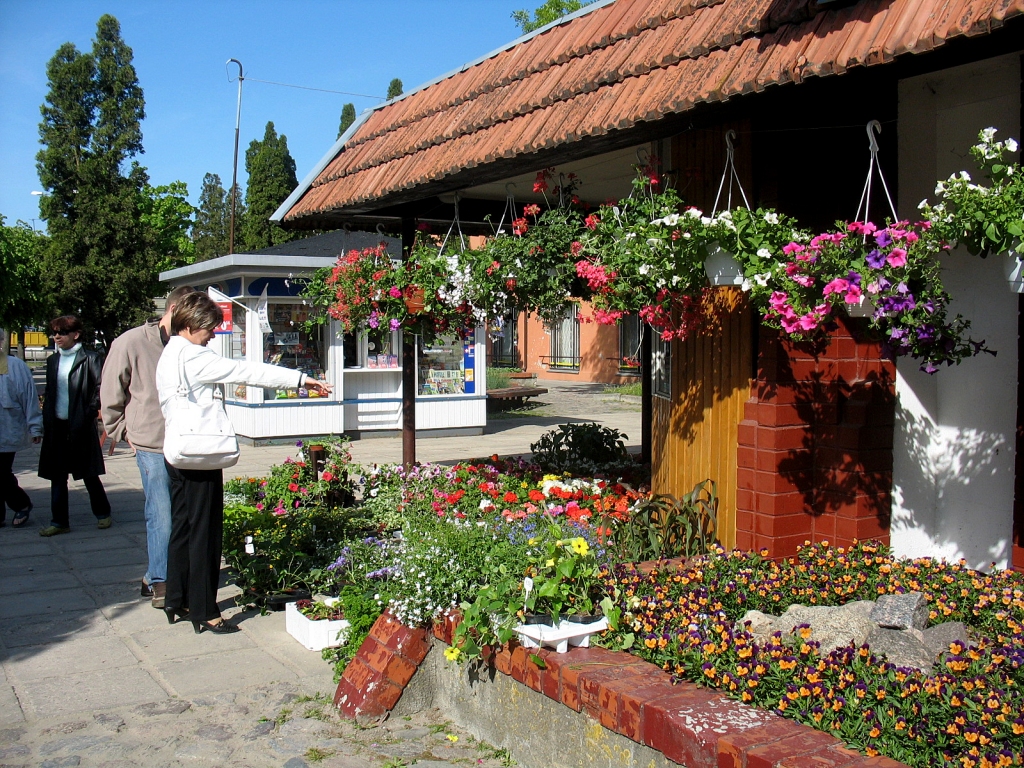 Jauna stādu tirgotava Rātslaukumā 